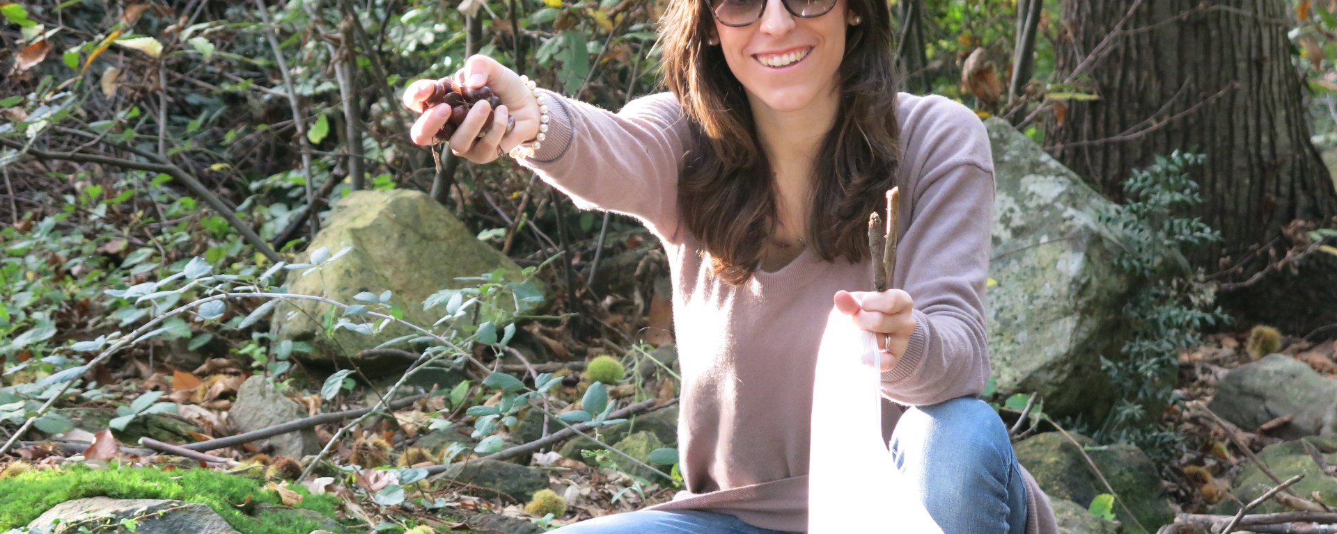 Ottobre mese delle castagne: dove trovarle e mangiarle in Molise –  Scoprendo il Molise, image size:1920x768